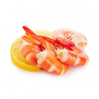 Shrimp