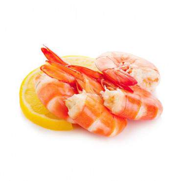 Shrimp